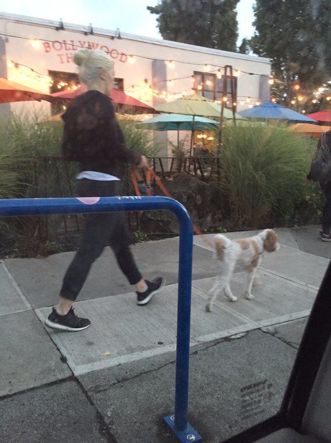 When Teresa called me