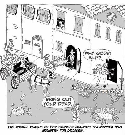 When Teresa called me