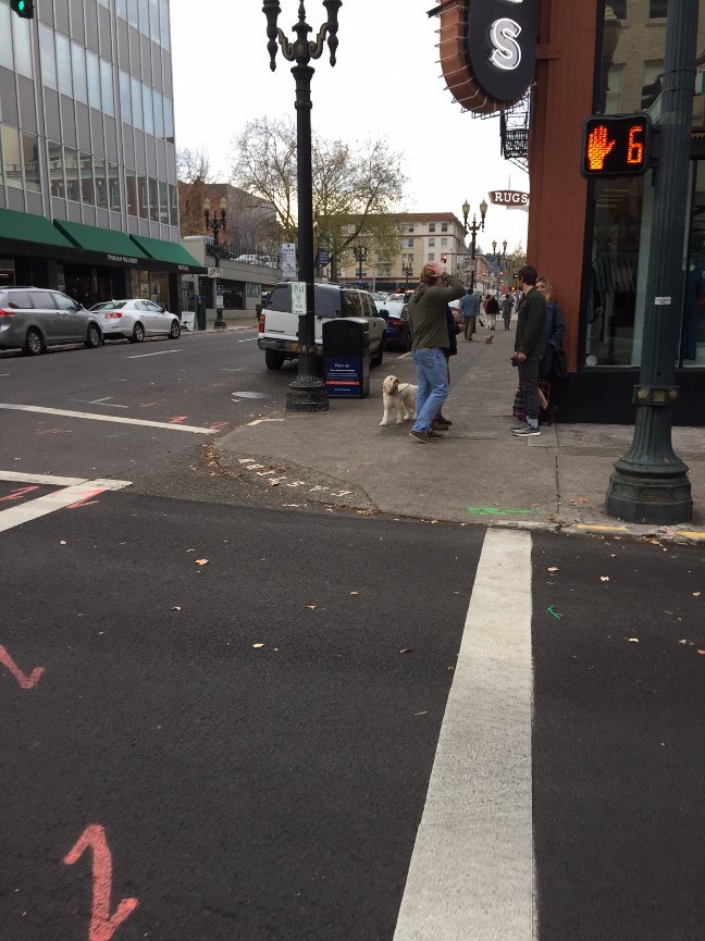 When Teresa called me