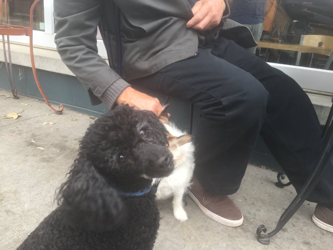 When Teresa called me