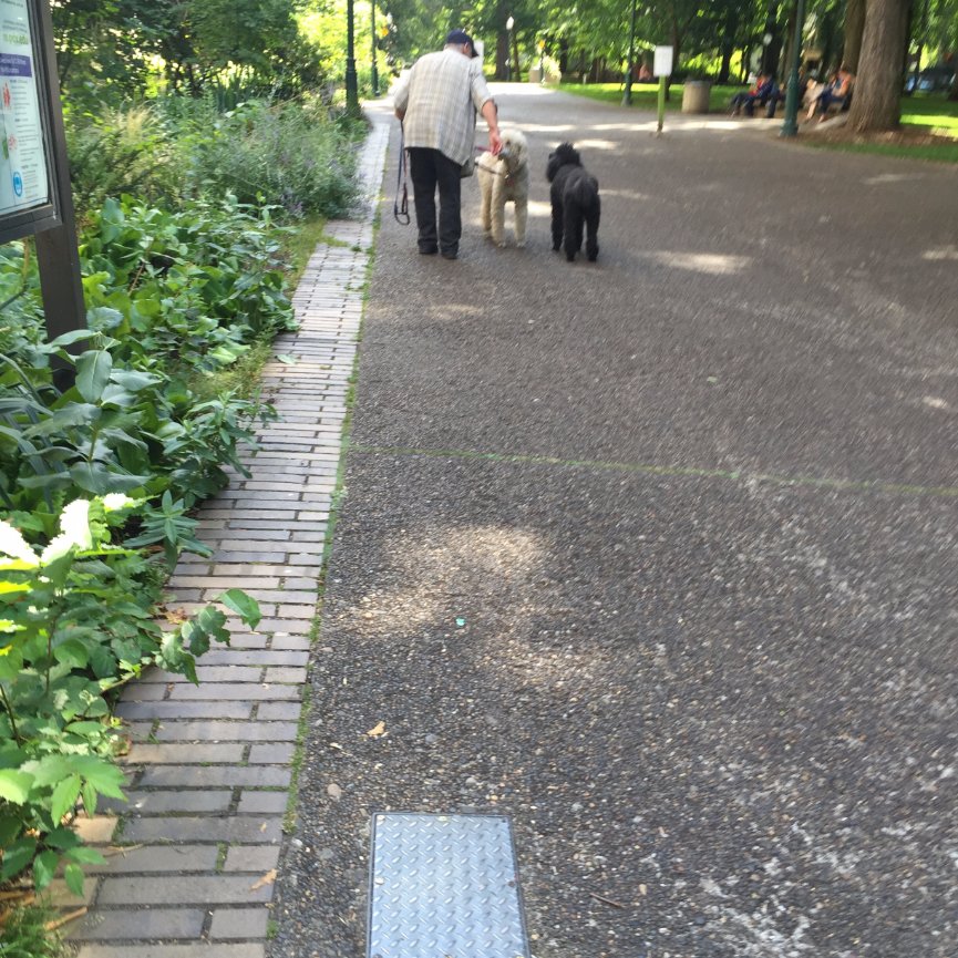 When Teresa called me