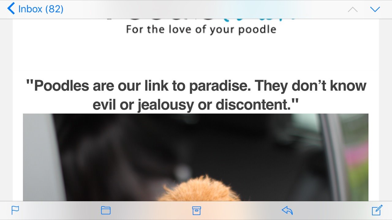 When Teresa called me