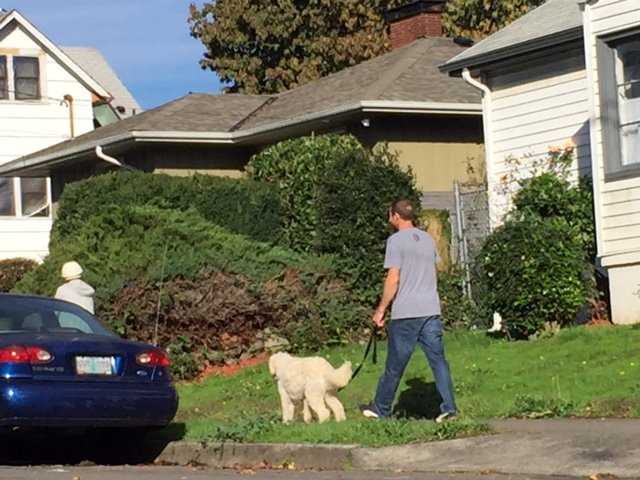 When Teresa called me