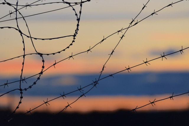 barbed wire