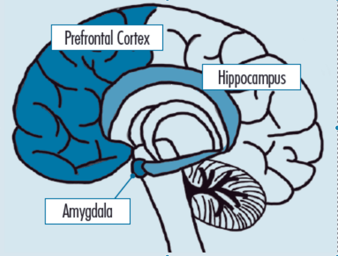 What Is EMDR Therapy?