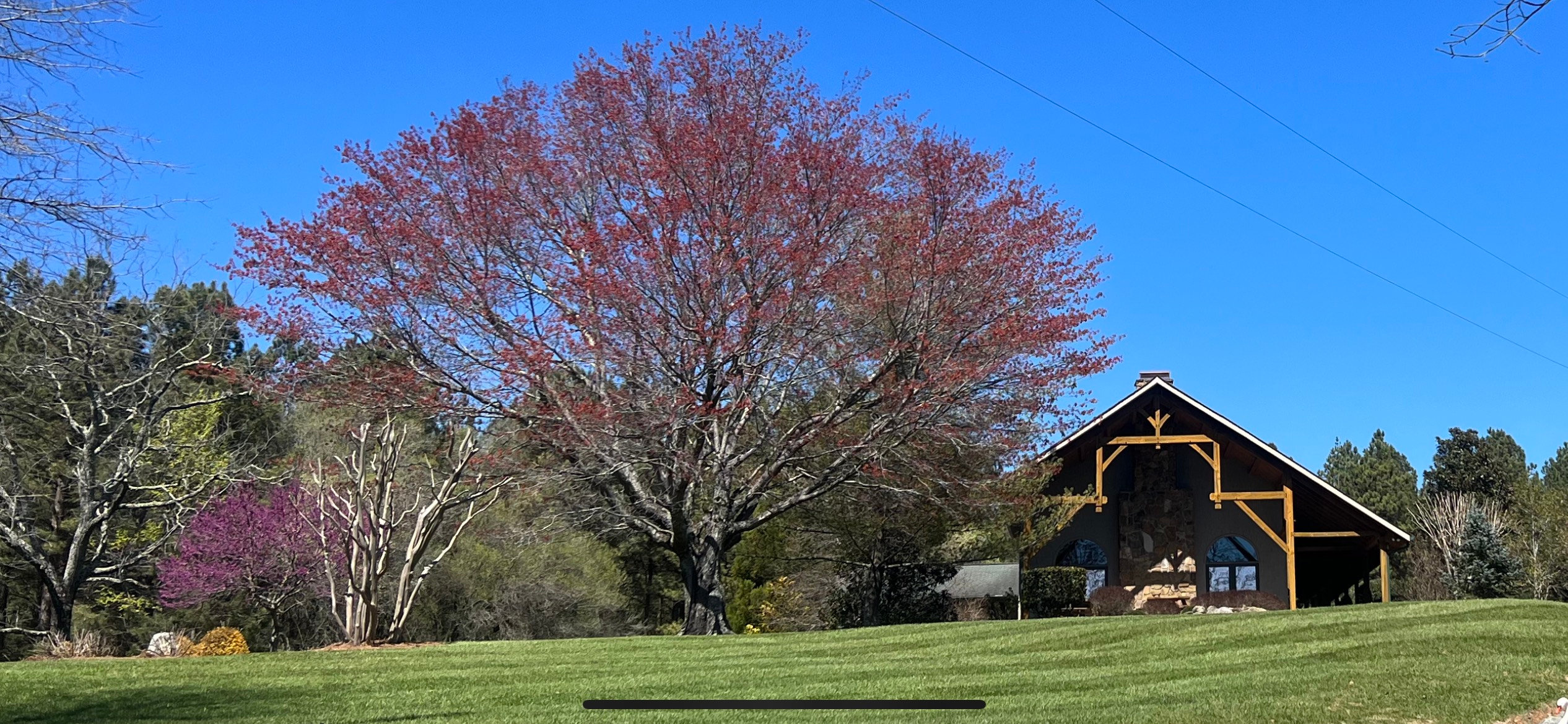 About Us Stokesdale, NC The Longhouse